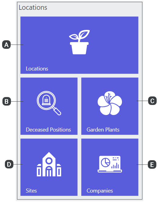 Home Dashboard