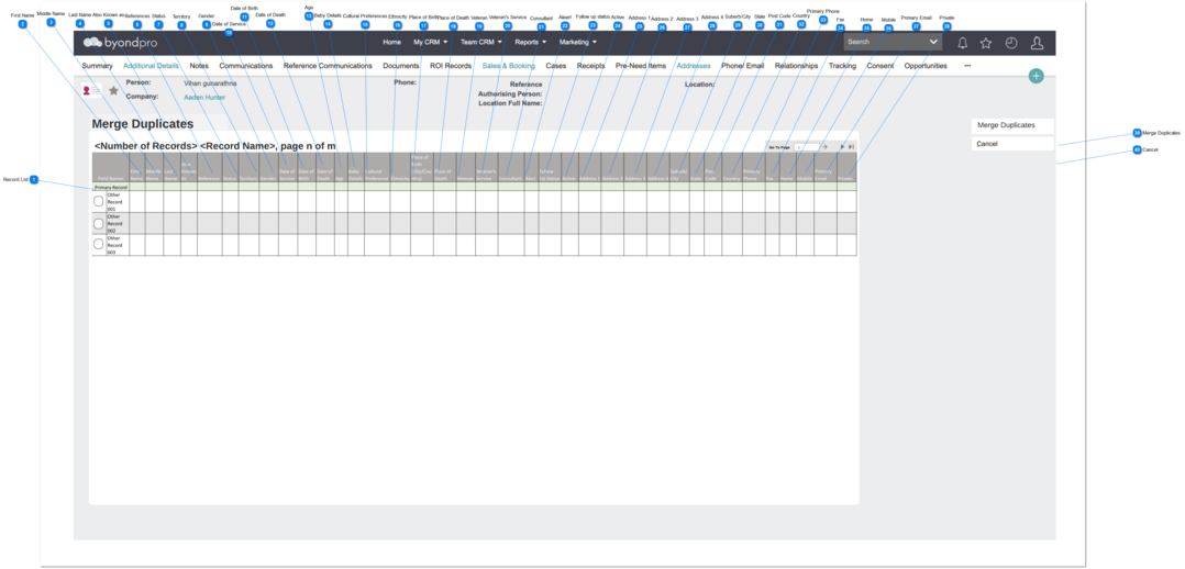 Merge Person Duplicates_Detailed Comparison