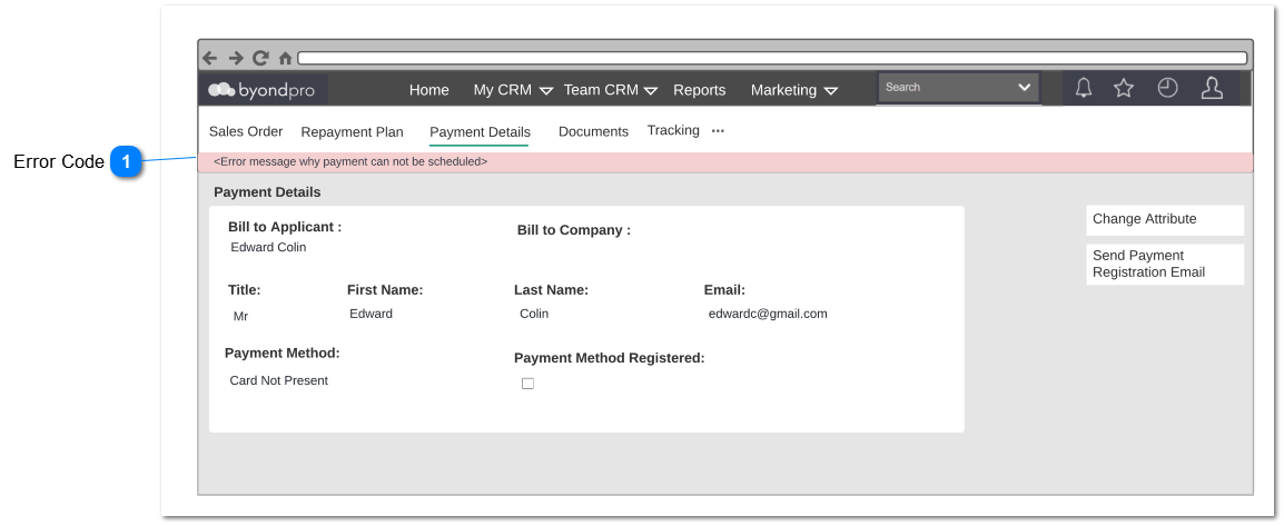 View Error - Payment Details
